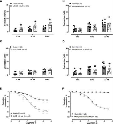 Endothelium-derived 6-nitrodopamine is the major mechanism by which nitric oxide relaxes the rabbit isolated aorta